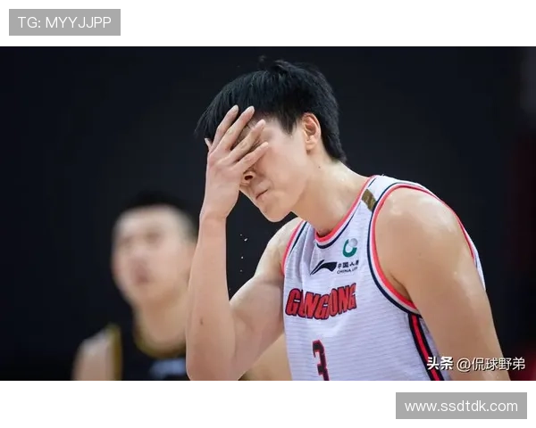 [CBA]常规赛12月28日：辽宁VS新疆 王岚嵚集锦.